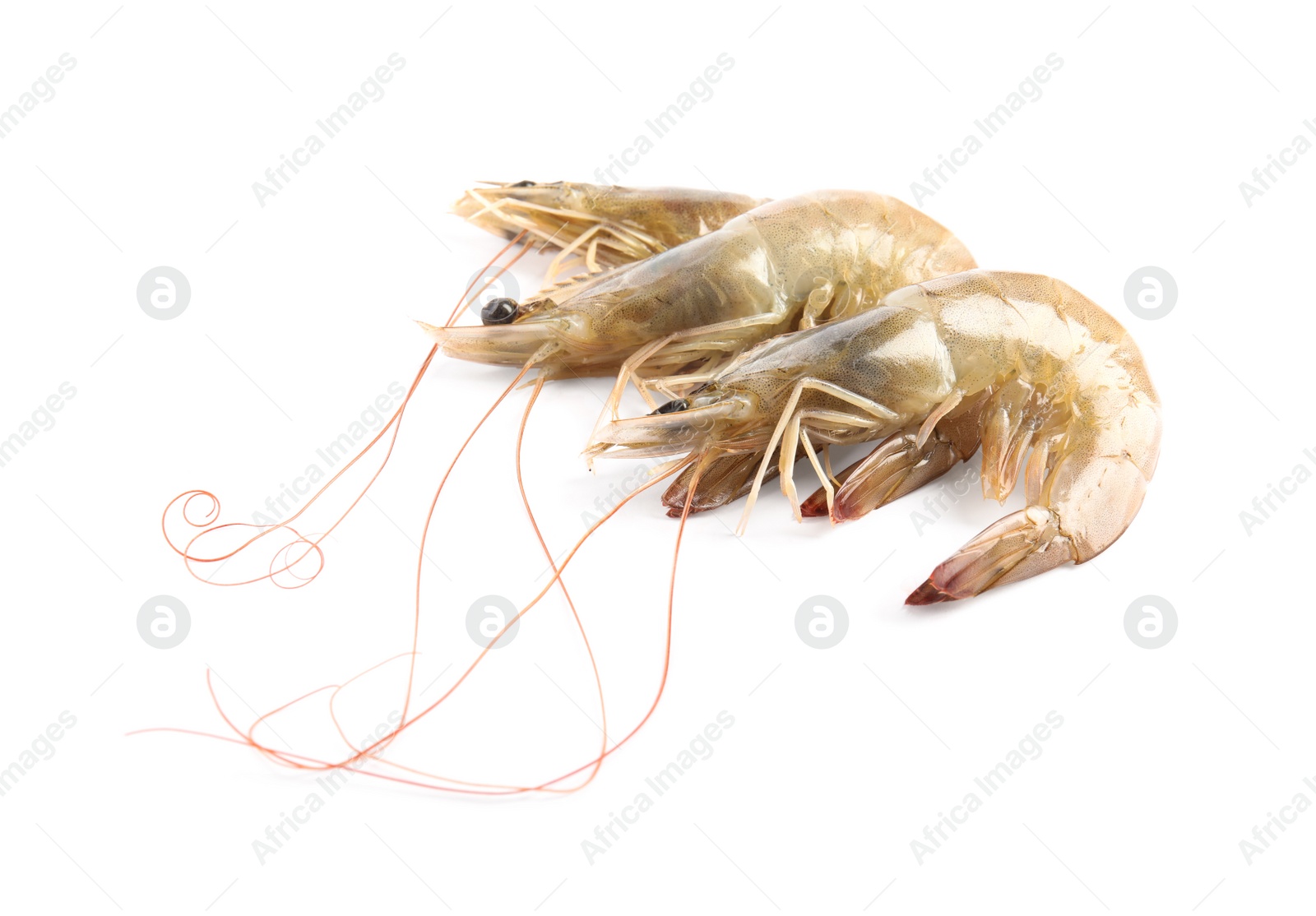 Photo of Fresh raw shrimps isolated on white. Healthy seafood