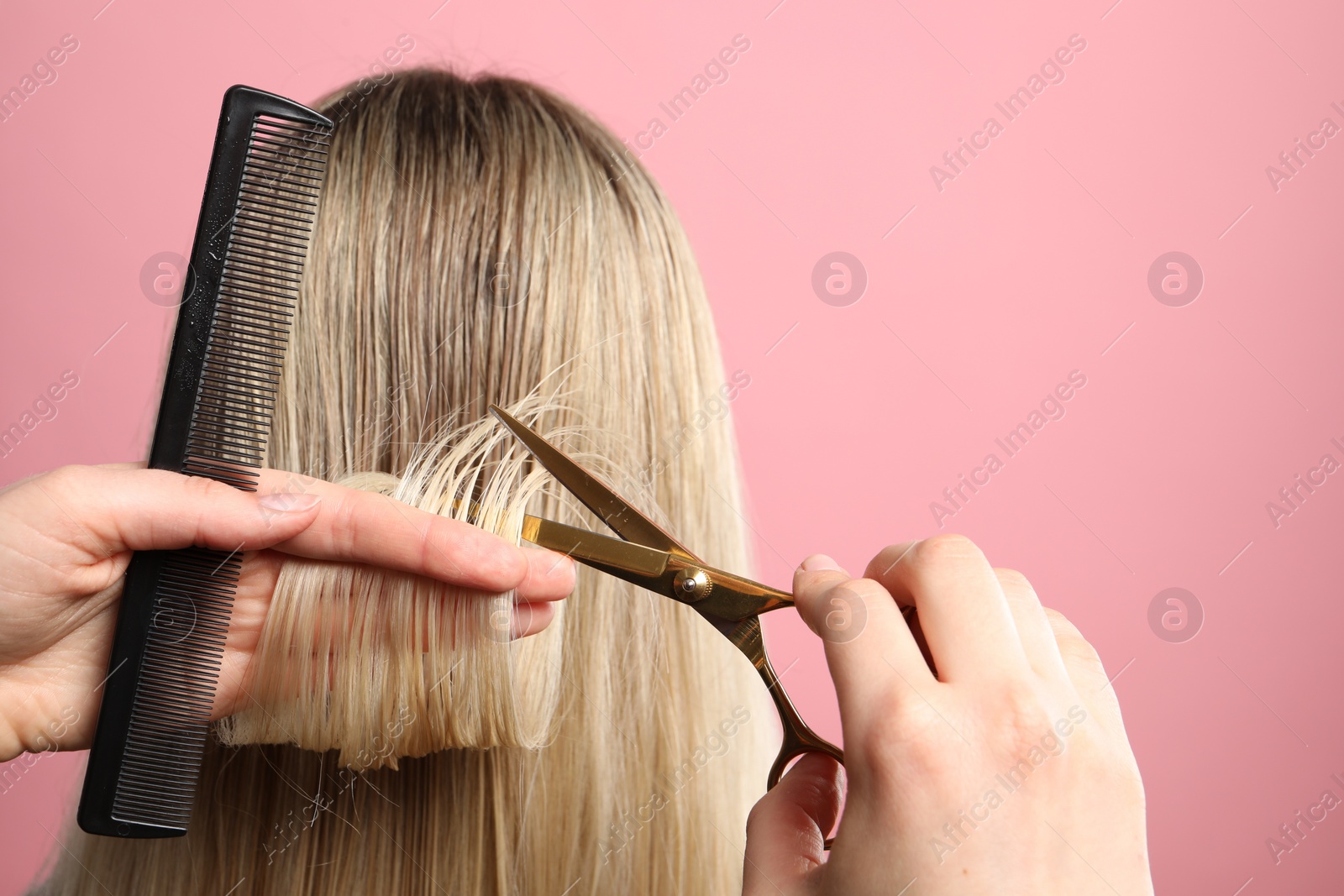 Photo of Hairdresser cutting client's hair with scissors on pink background, closeup. Space for text
