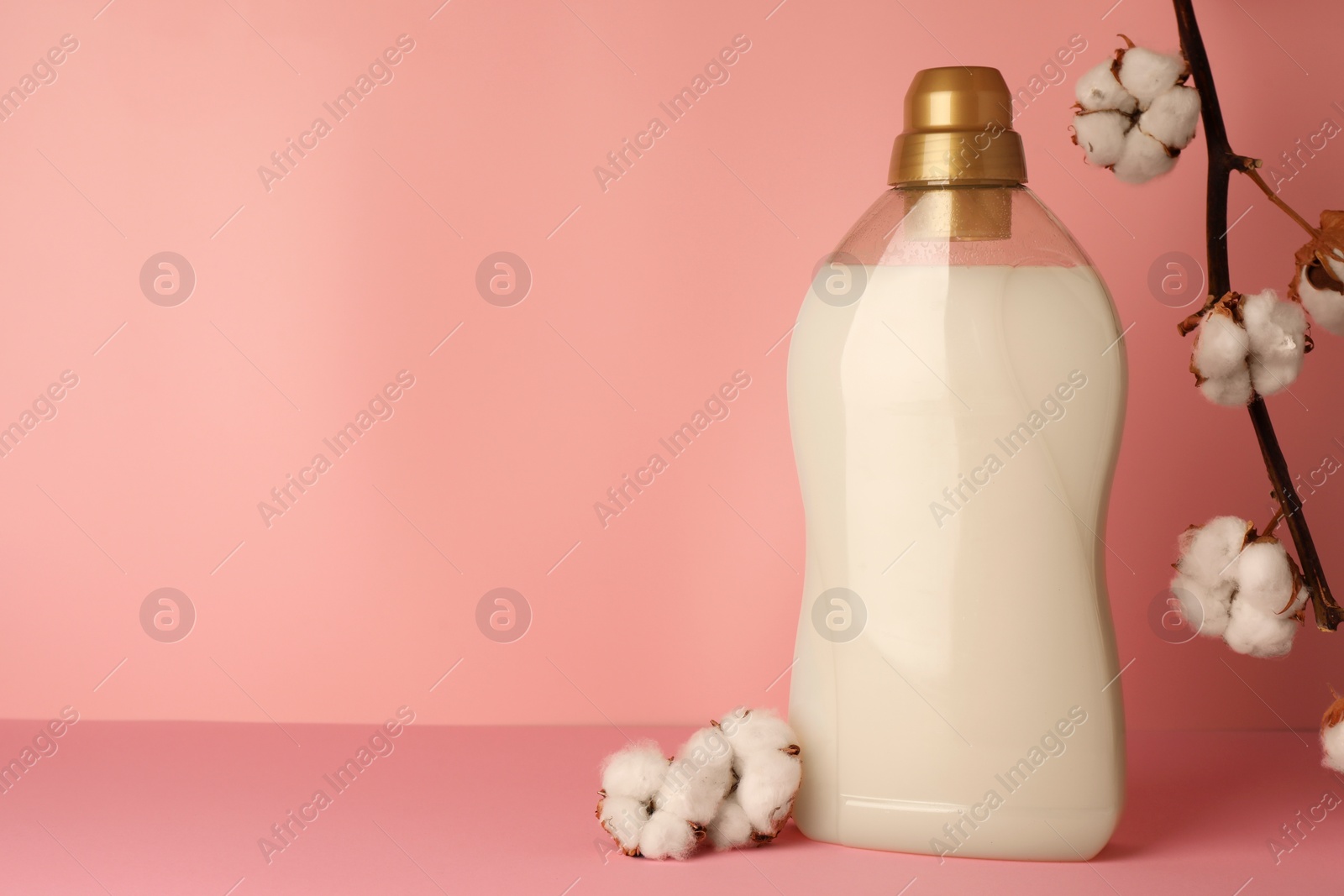 Photo of Bottle of fabric softener and fluffy cotton flowers on pink background, space for text