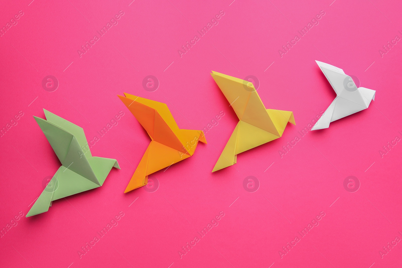 Photo of Beautiful colorful origami birds on pink background, flat lay