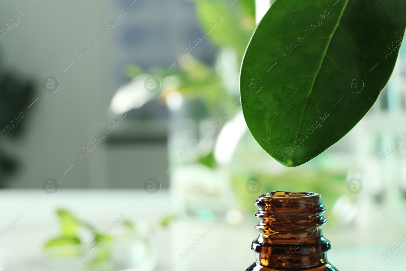 Photo of Clear drop falling from leaf into small bottle on blurred background, closeup with space for text. Plant chemistry