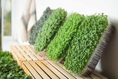 Photo of Fresh organic microgreens assortment near wooden crate, closeup