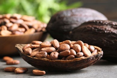 Cocoa pods and beans on grey table