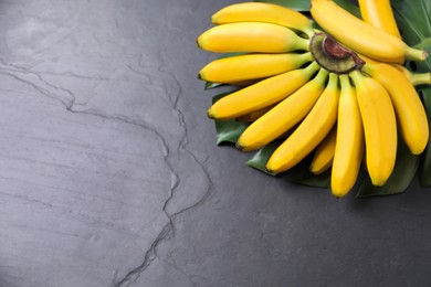 Photo of Tasty ripe baby bananas on dark table, above view. Space for text