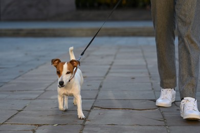 Photo of Man with adorable Jack Russell Terrier on city street, closeup. Dog walking