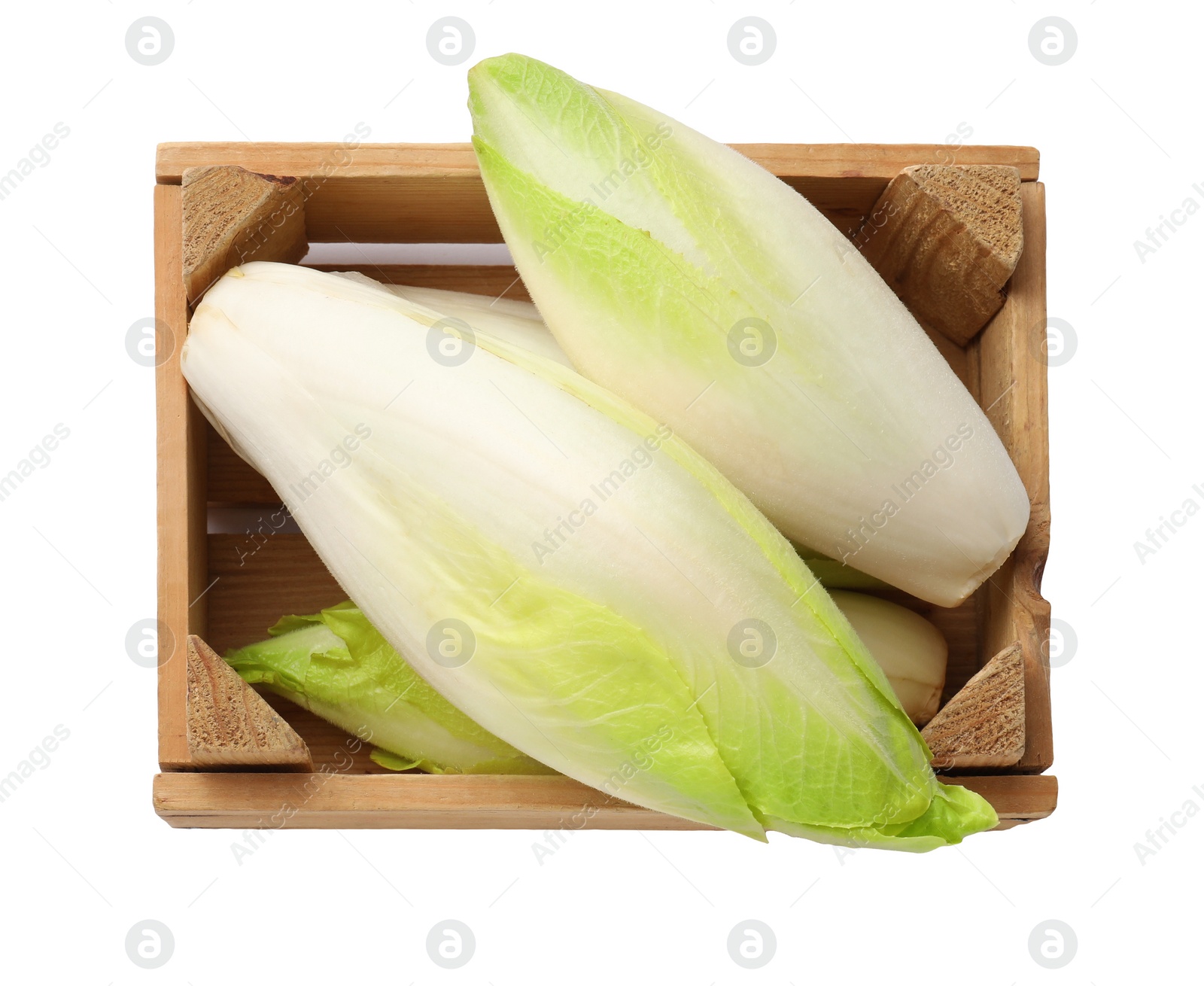 Photo of Raw chicories in wooden crate on white background, top view