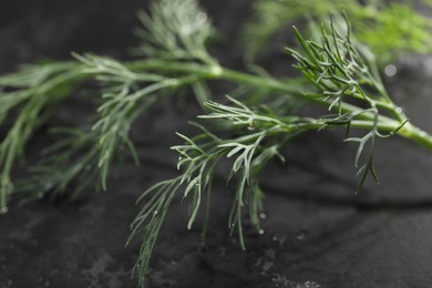 Sprig of fresh dill on grey table, closeup