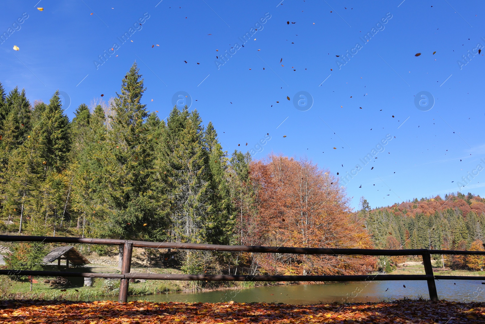 Photo of Picturesque landscape with falling leaves and autumn forest near river