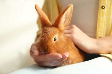 Young woman with adorable rabbit indoors, closeup. Lovely pet