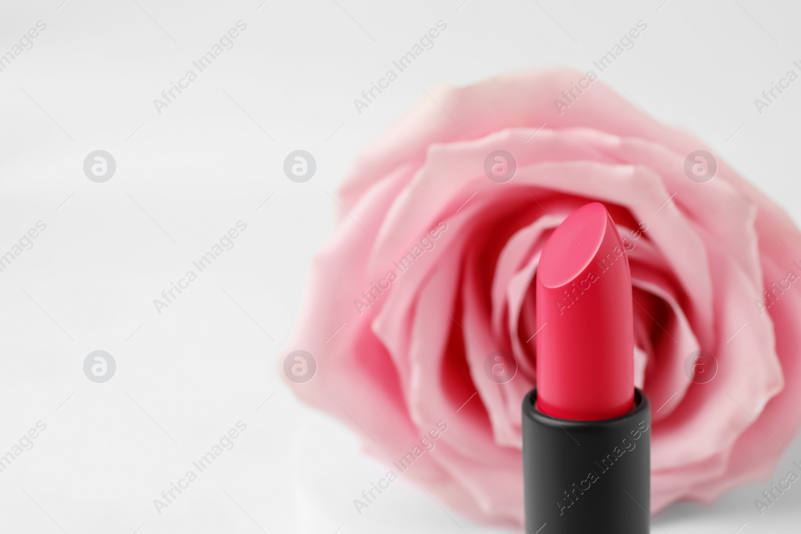 Photo of Beautiful pink lipstick and rose on white background, closeup. Space for text