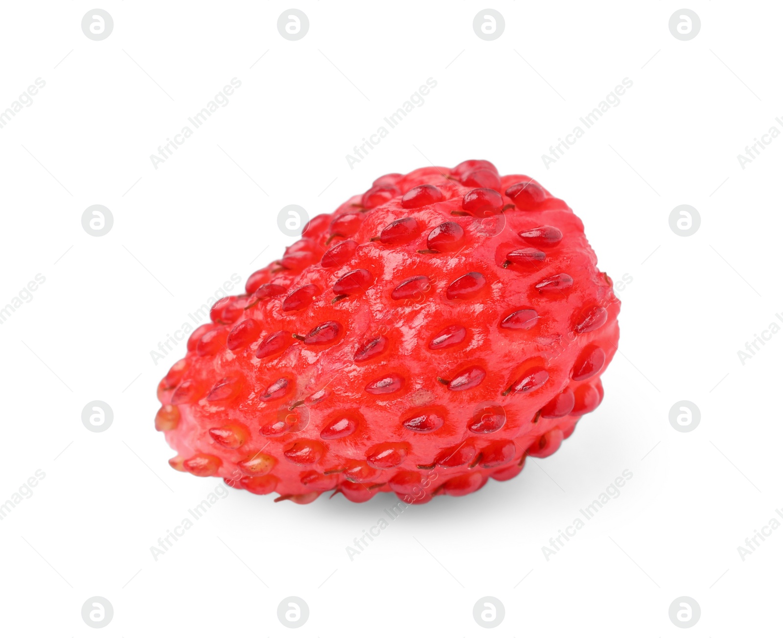 Photo of One ripe wild strawberry isolated on white