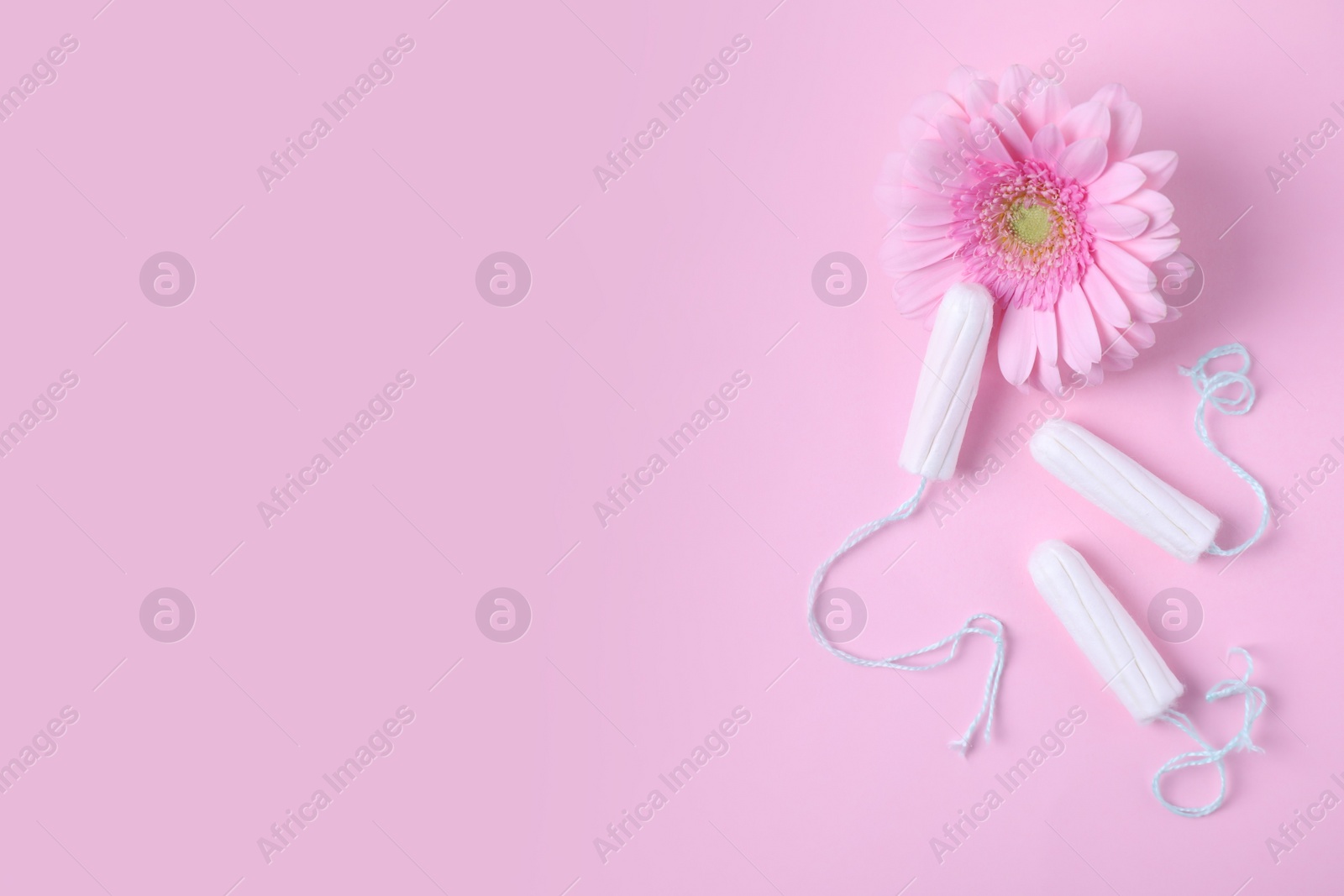 Photo of Flat lay composition with tampons and flower on pink background, space for text. Gynecology concept