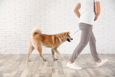 Photo of Young woman with adorable Akita Inu dog indoors. Champion training
