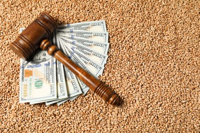 Photo of Agricultural business. Dollar banknotes and wooden gavel on wheat grains, above view. Space for text