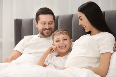 Photo of Pregnant woman with her son and husband in bed at home. Happy family