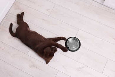 Cute chocolate Labrador Retriever puppy near feeding bowl on floor indoors, above view. Lovely pet