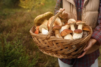 Woman holding wicker basket with fresh wild mushrooms outdoors