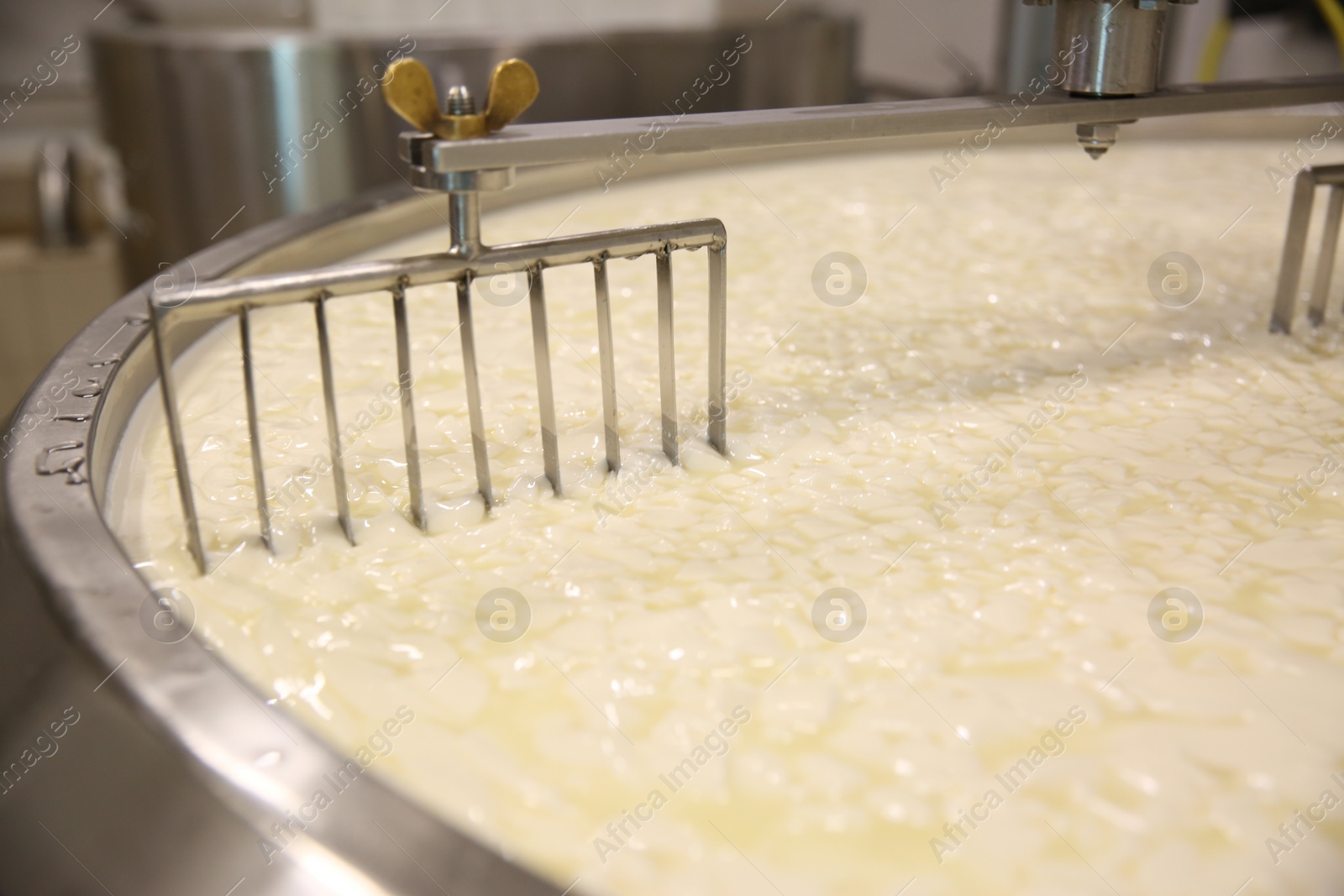 Photo of Curd and whey in tank at cheese factory, closeup