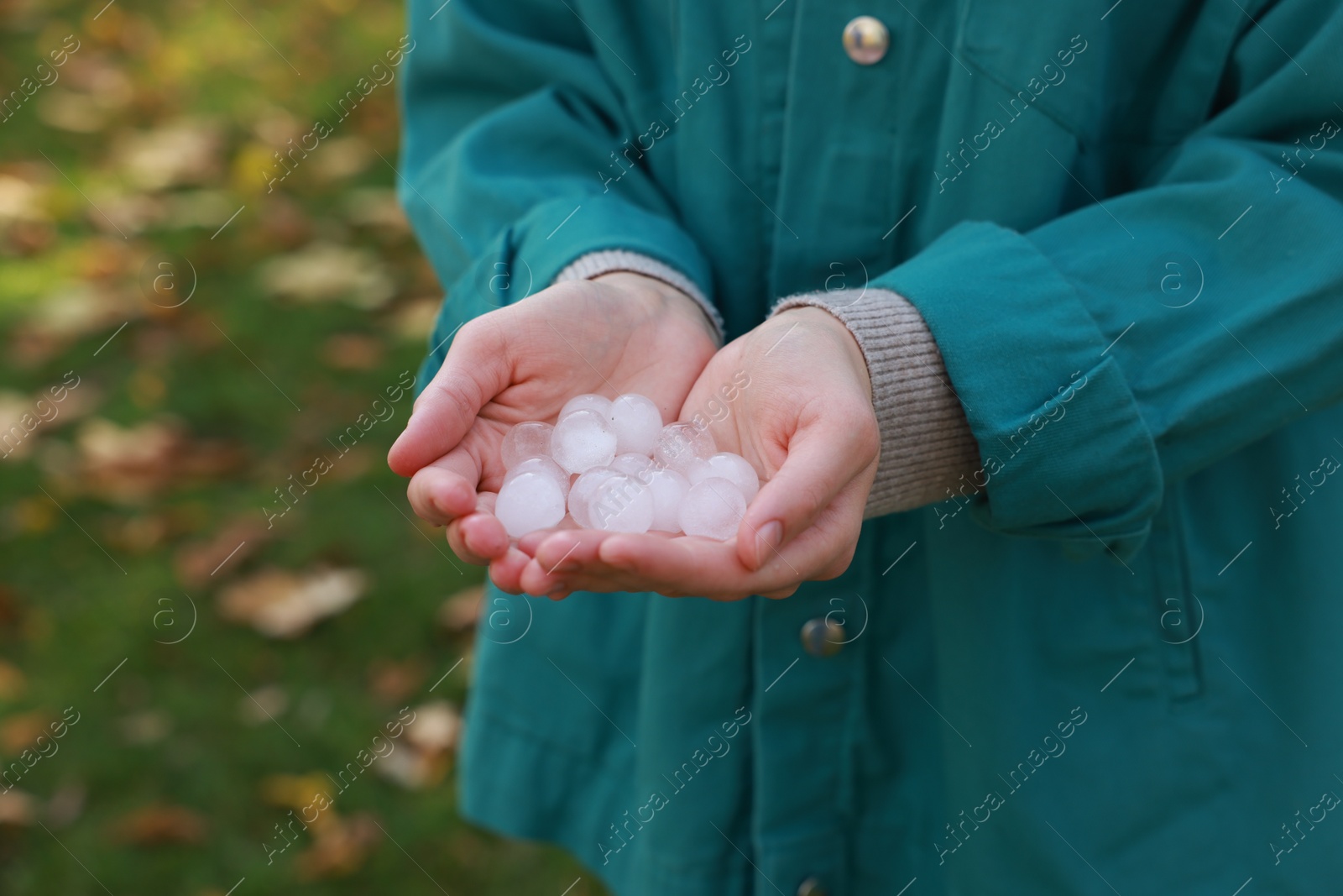 Photo of Woman holding hail grains after thunderstorm outdoors, closeup