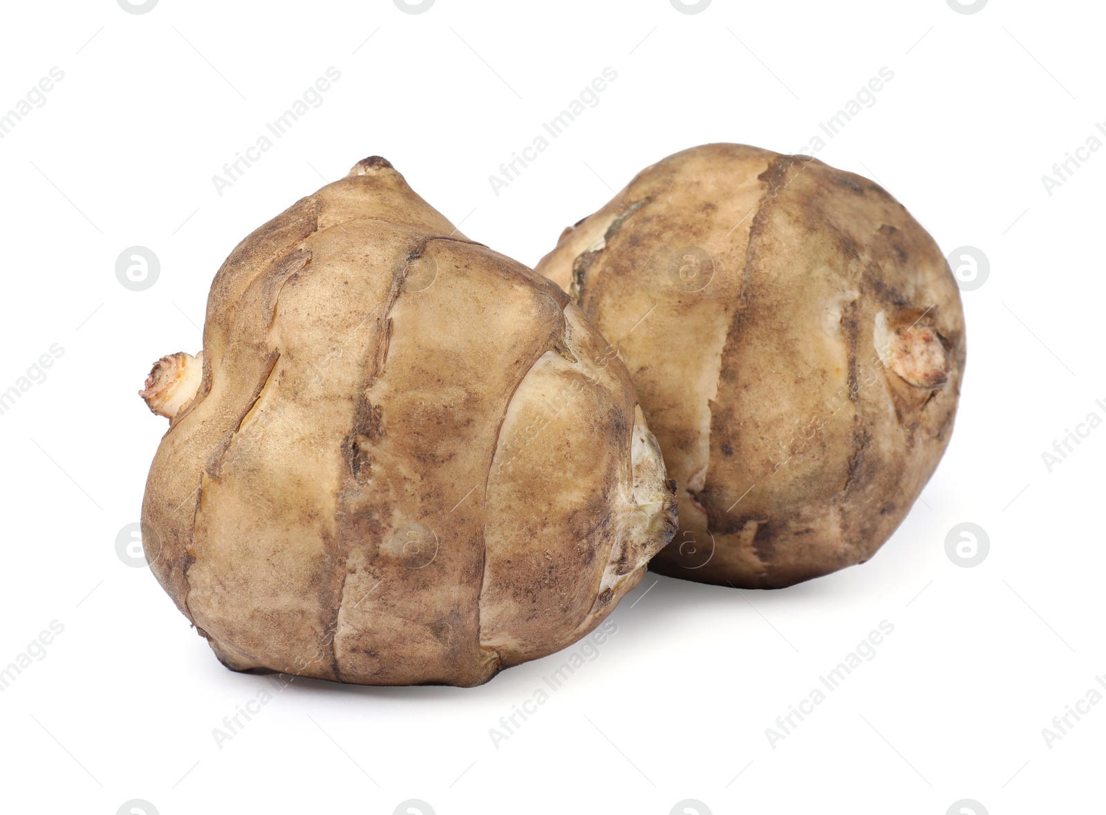 Photo of Two raw Jerusalem artichokes isolated on white