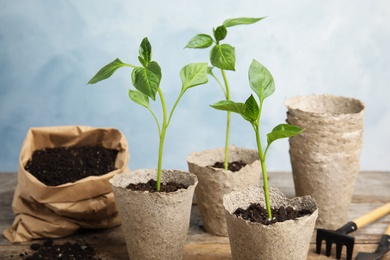 Photo of Vegetable seedlings in peat pots on wooden table against light background