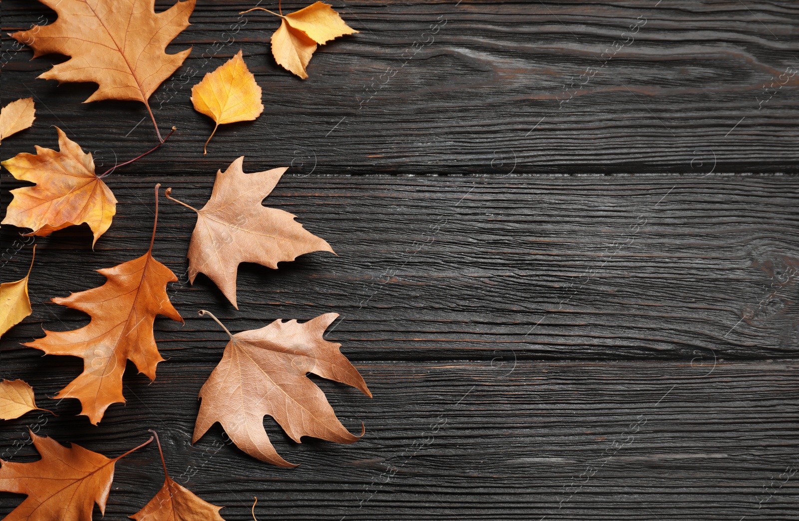 Photo of Flat lay composition with autumn leaves and space for text on wooden background