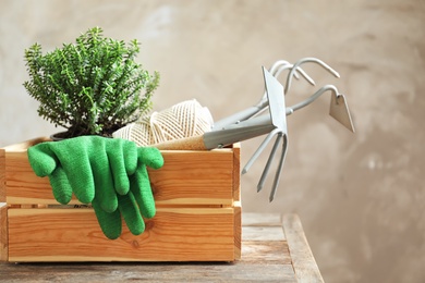 Photo of Wooden crate with plant and professional gardening tools on table