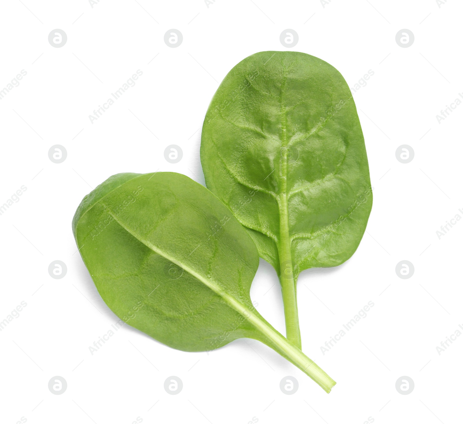 Photo of Fresh leaves of spinach isolated on white, top view