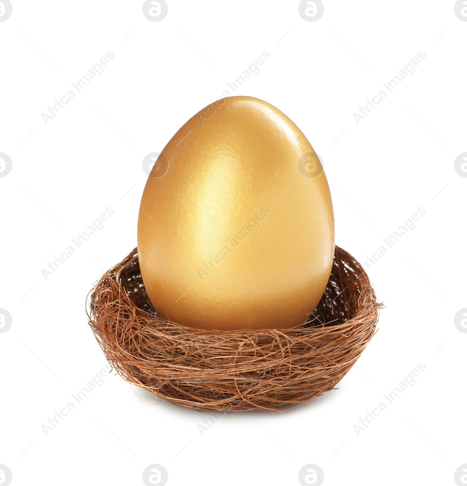 Photo of Shiny golden egg in nest on white background