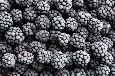 Photo of Tasty frozen blackberries as background, top view