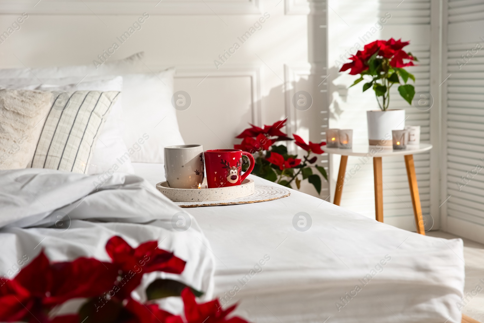 Photo of Poinsettias near bed in light cozy room. Christmas Interior design