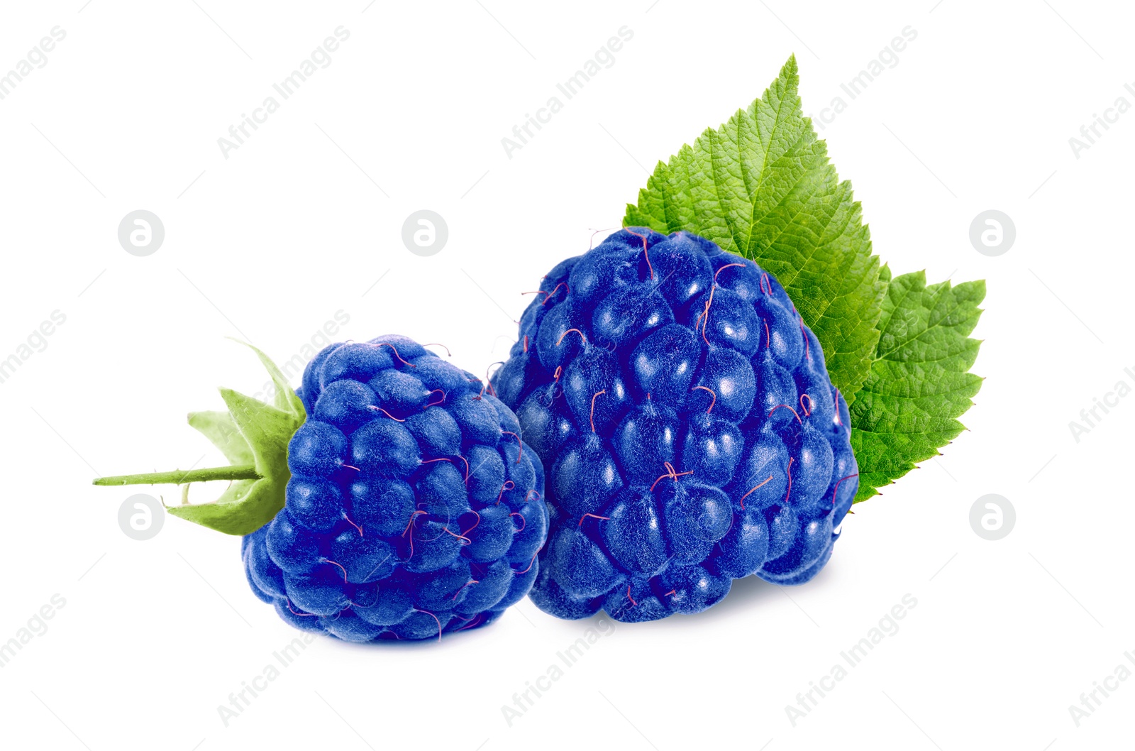 Image of Fresh blue raspberries and green leaves isolated on white