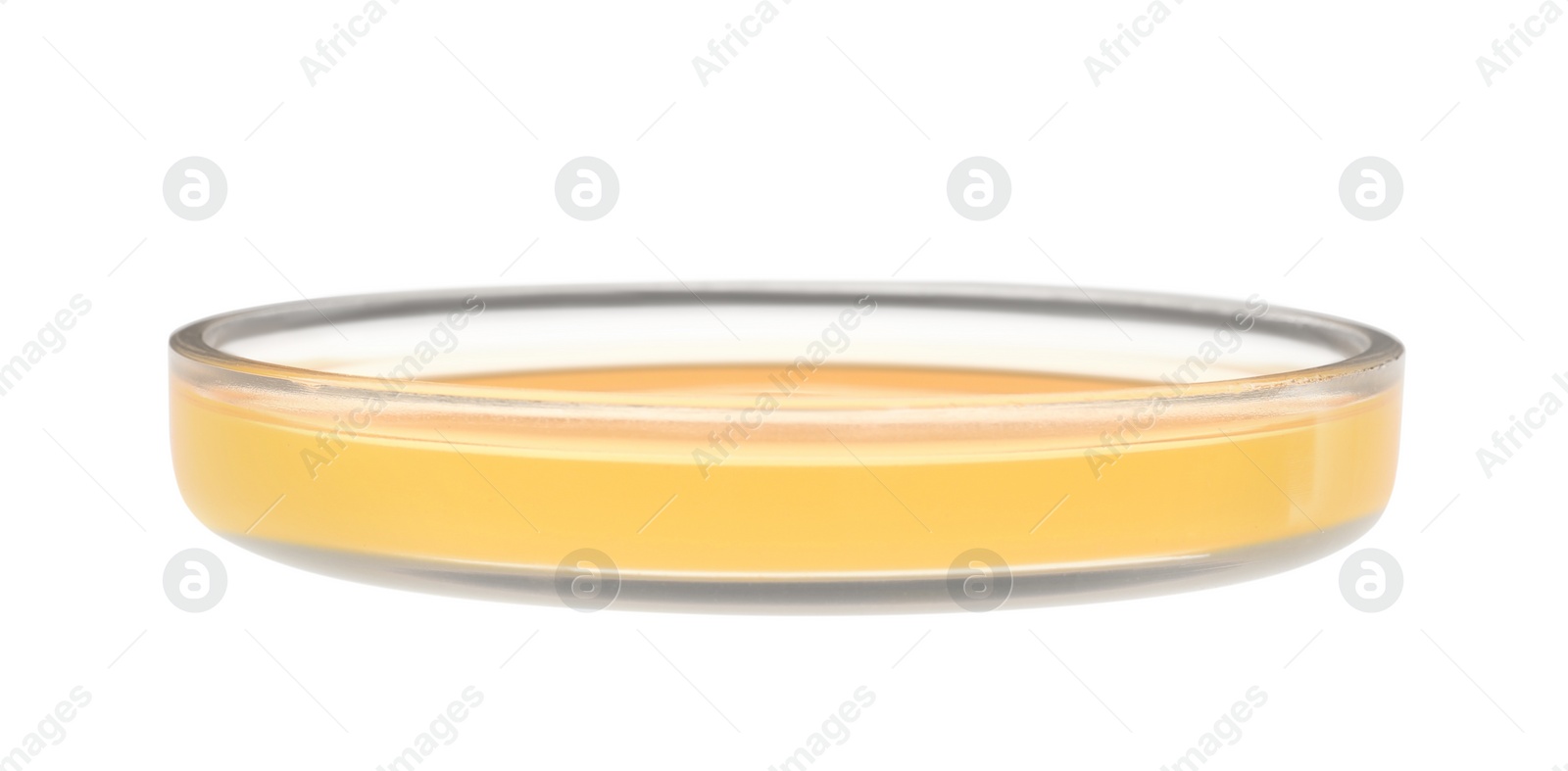 Photo of Petri dish with orange liquid isolated on white