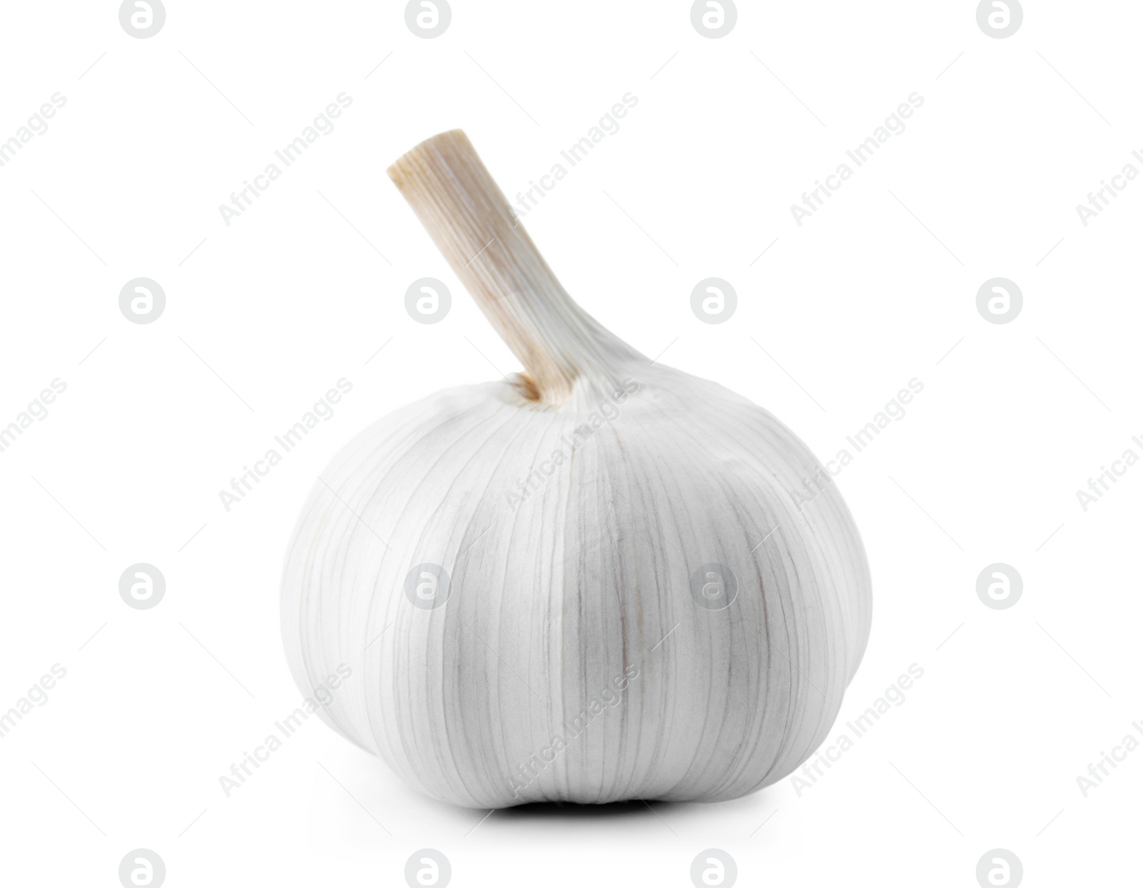 Photo of Fresh garlic on white background. Organic food