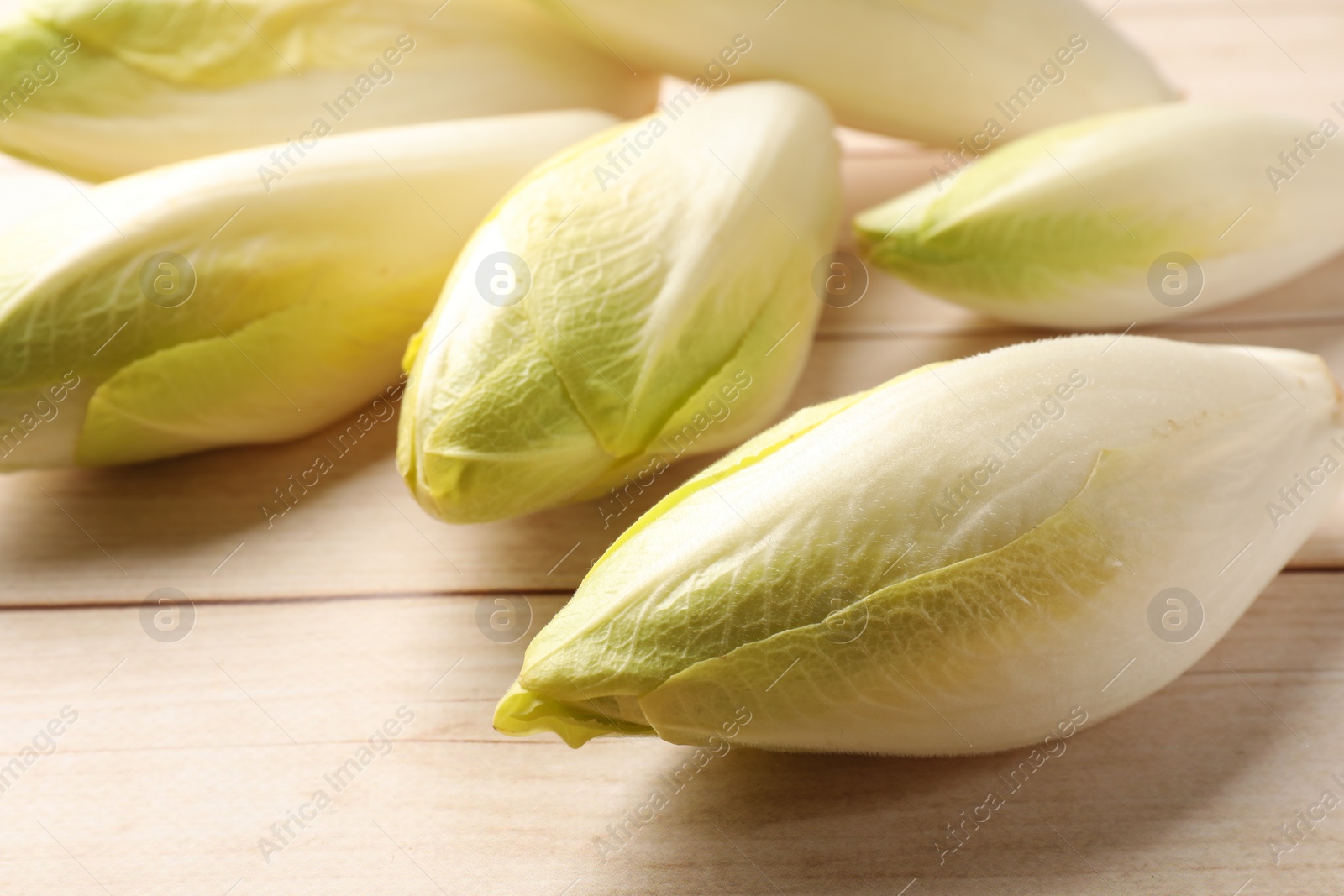 Photo of Raw ripe chicories on wooden table, closeup