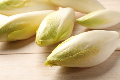 Raw ripe chicories on wooden table, closeup