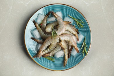 Fresh raw shrimps with rosemary and ice cubes on light grey marble table, top view