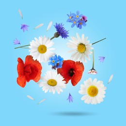 Beautiful meadow flowers falling on light blue background