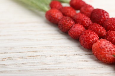 Photo of Grass stems with wild strawberries on white wooden table, closeup. Space for text