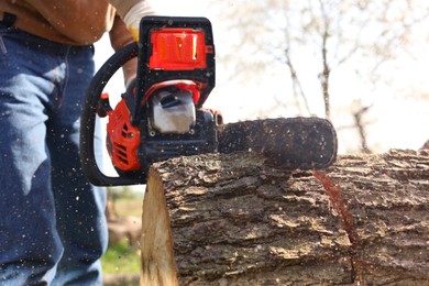 Man sawing wooden log on sunny day, closeup