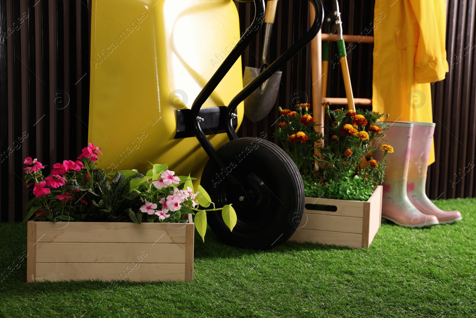 Photo of Wheelbarrow, blooming plants, gardening tools and accessories on green grass near wood slat wall