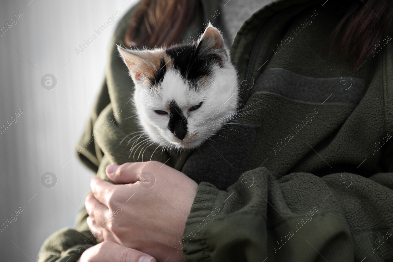 Photo of Soldier in uniform warming little stray cat on blurred background, closeup