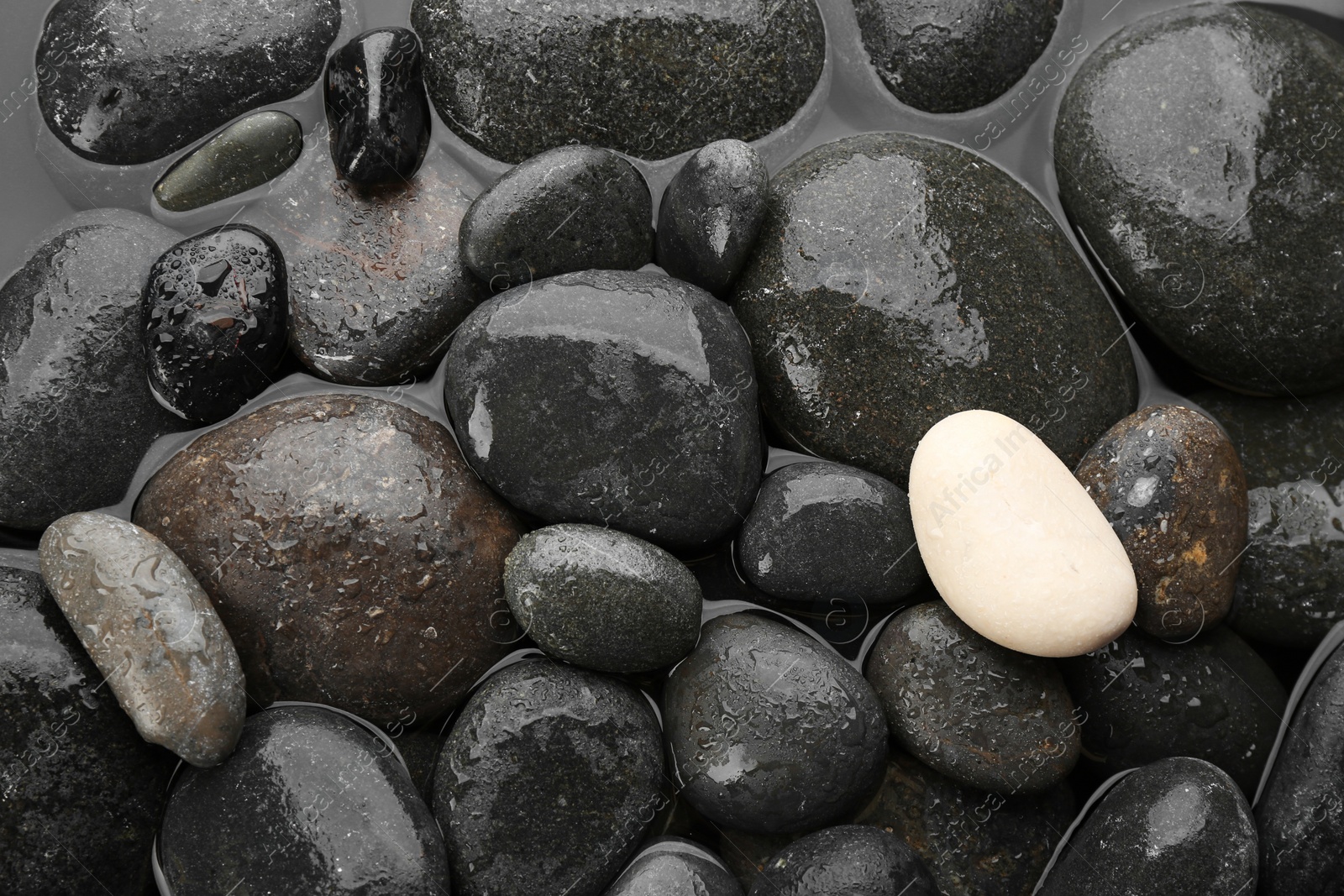 Photo of Spa stones in water as background, top view. Zen lifestyle