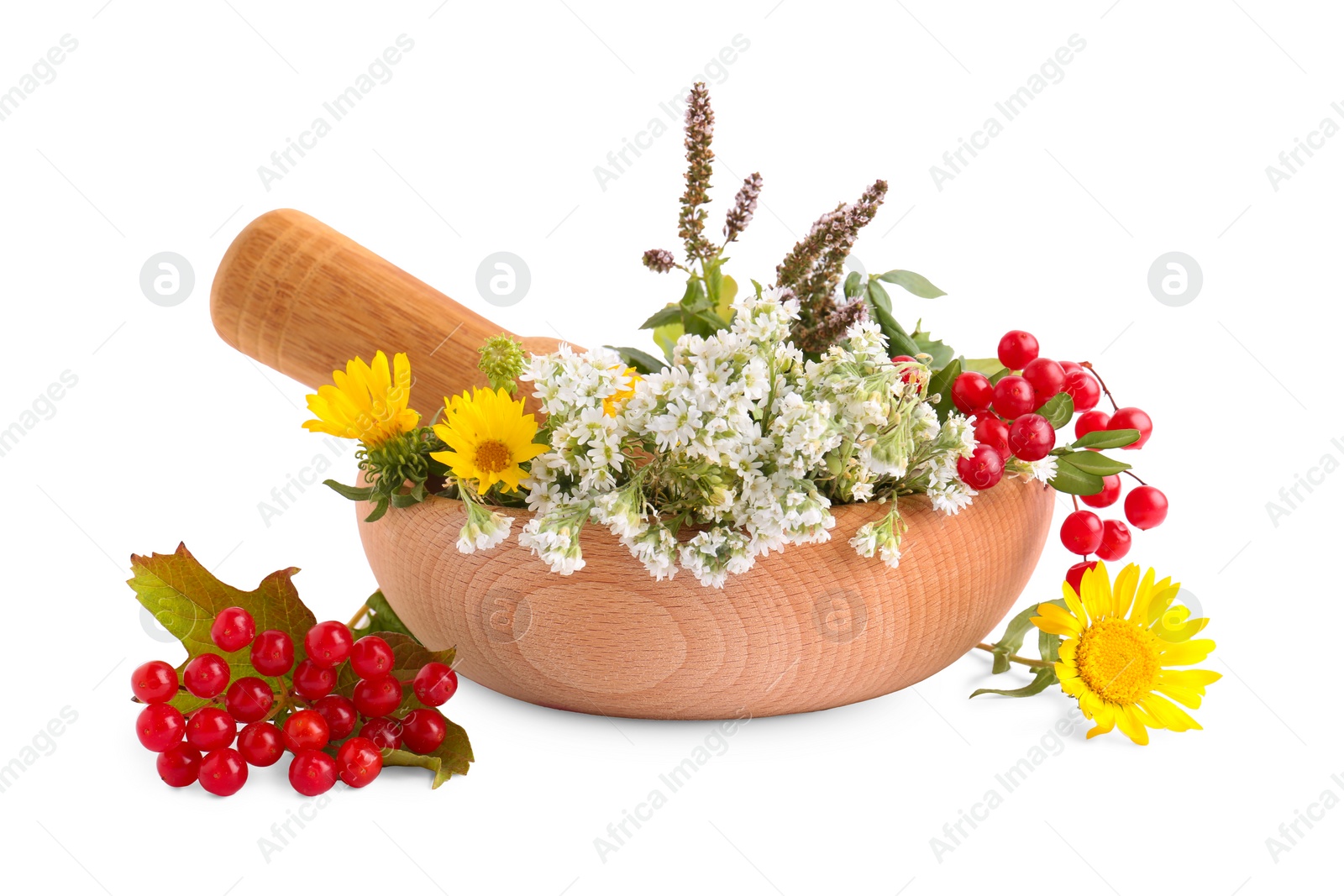 Photo of Wooden mortar with different flowers, berries and pestle on white background