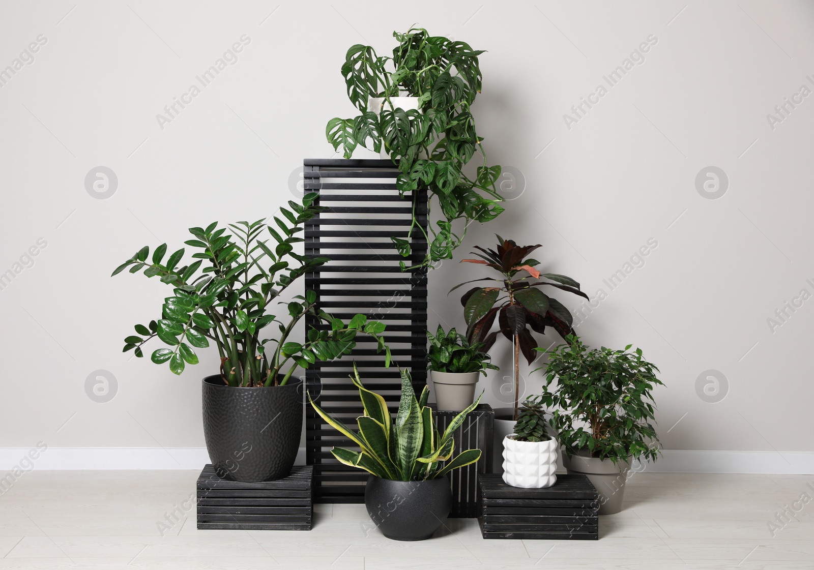 Photo of Many houseplants on floor near white wall. Stylish interior design