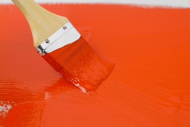 Applying orange paint with brush on white background, closeup