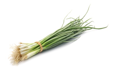 Tied fresh green onion on white background