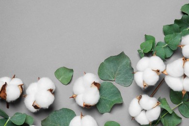 Cotton flowers and eucalyptus leaves on grey background, flat lay. Space for text