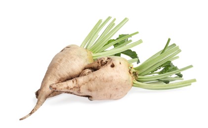 Photo of Freshly harvested sugar beets on white background