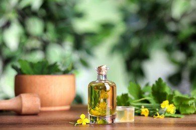 Bottle of celandine tincture and plant on wooden table outdoors